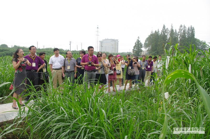 牧草种质资源收集保护技术及项目管理培训班在