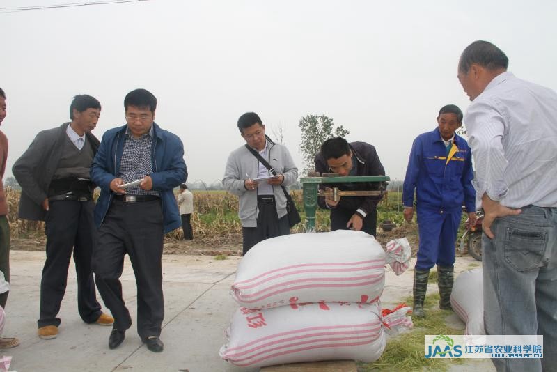 南粳45_南粳0212_南粳9108稻种多少钱1斤