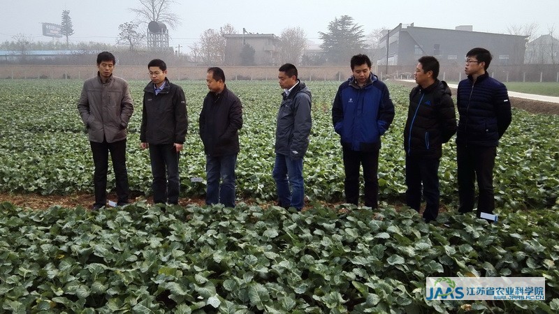 信阳农业人口_心系洪水灾区 信阳媒体人和企业向受灾地区广献爱心(3)