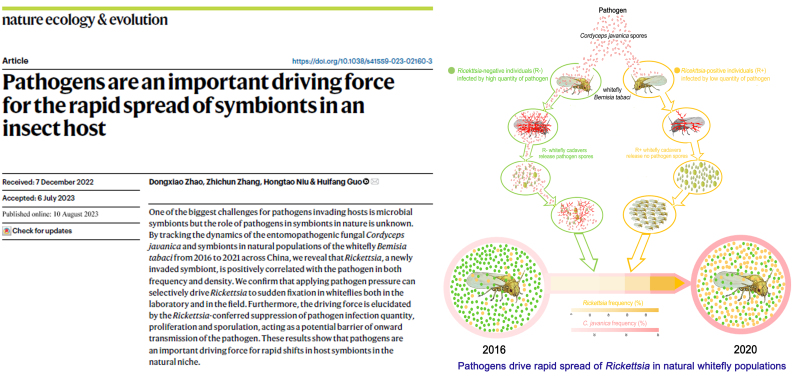 1 论文封面与结果图.jpg