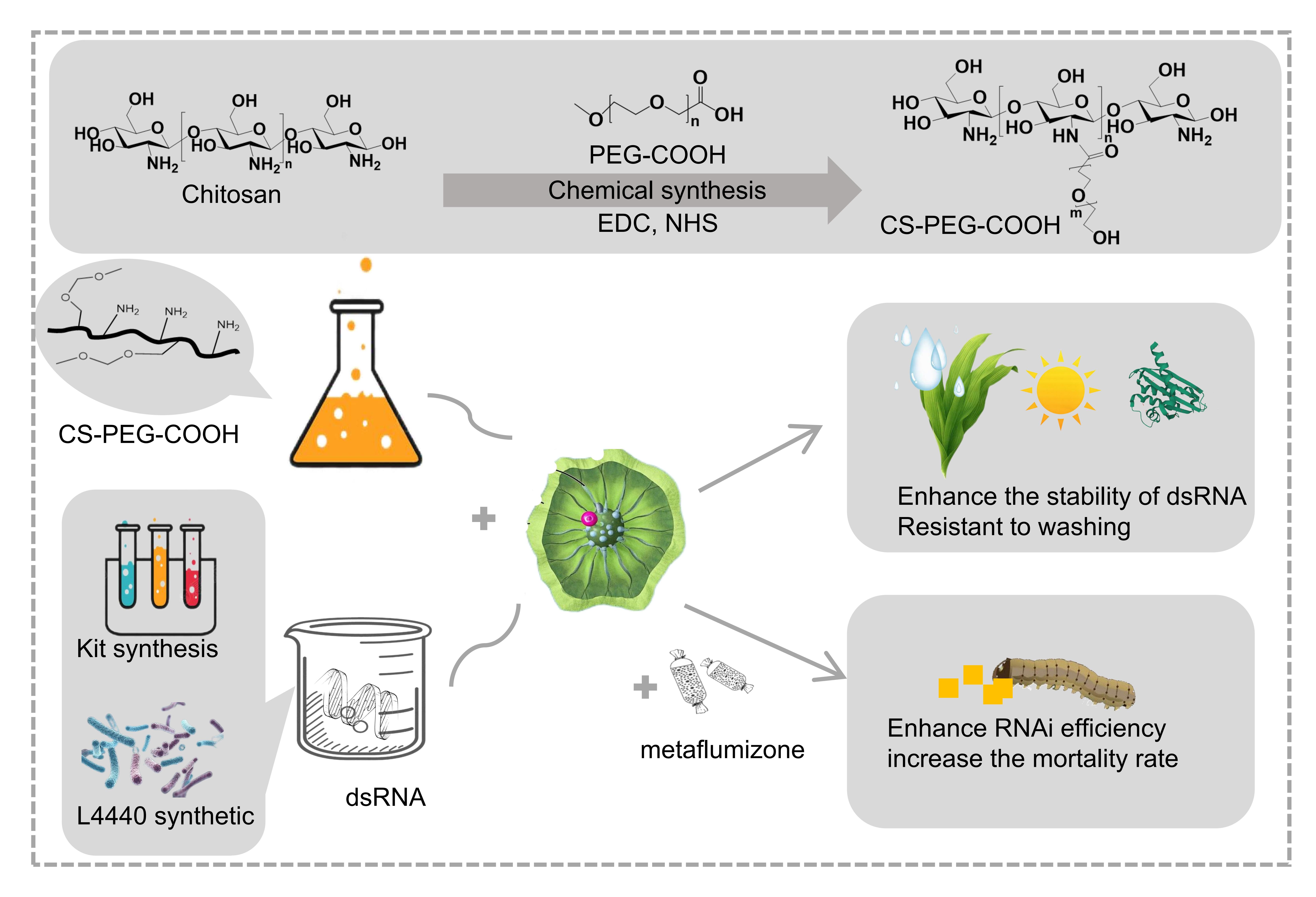 abstract Graphics_01
