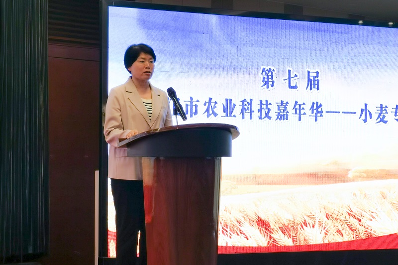 第七届镇江市农业科技嘉年华小麦专场活动成功举办